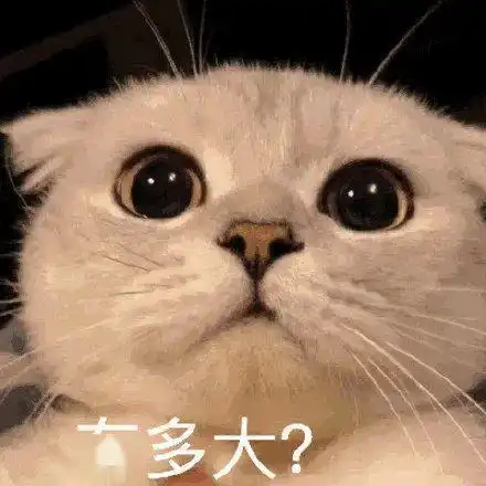 斗图必备的搞怪表情包
