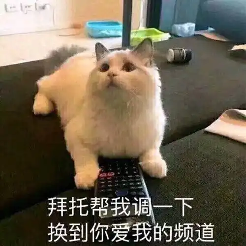 我发现一切进步的动力都来源于单身
