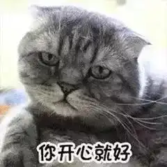 猫图第三波表情包自取
