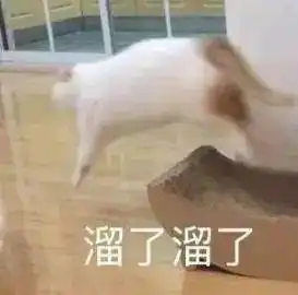 猜透你的小心思丨第139期喵表情