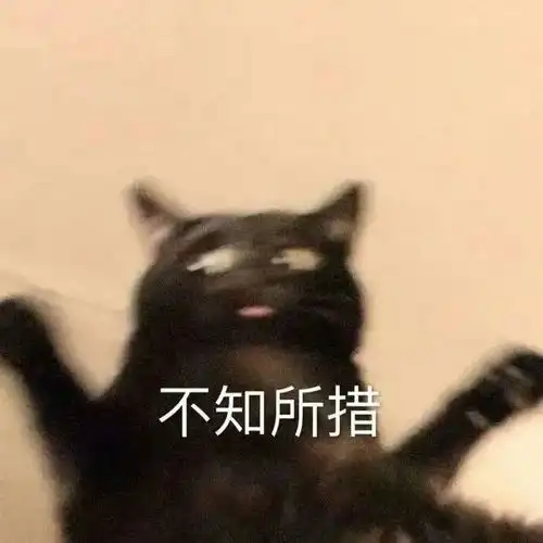 越被世界毒打,越容易玄学
