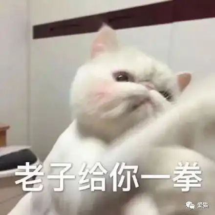快手有未成年孕妈,抖音有虐猫为乐的恶整,都是渣
