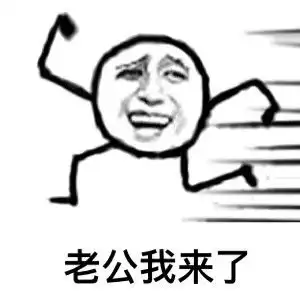 罗熙老公我来了的表情包合集
