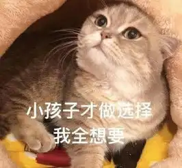 喜迎双节,洛阳联通福利大派送

