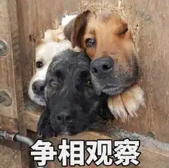 华少自爆发胖原因怕秃顶没敢锻炼
