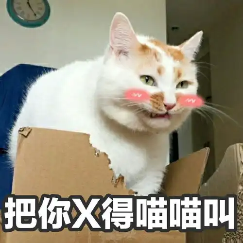 日常吸猫净化灵魂

