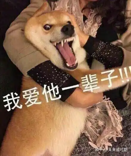 烦人的孩子

