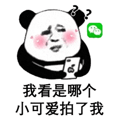 抖音超火的猫咪摇头表情包
