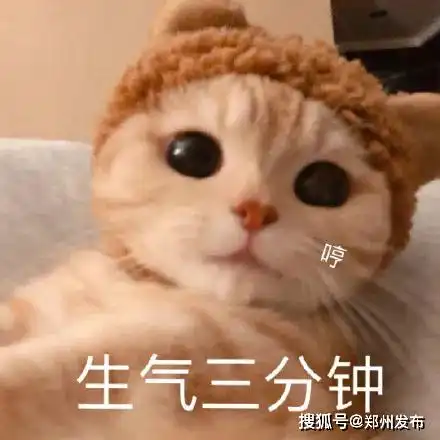 小布说天气这周早晚温差大,需要注意哦