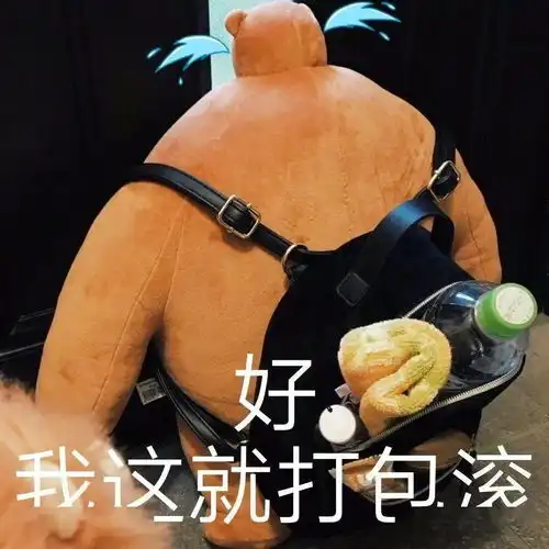 每日精选沙雕表情包

