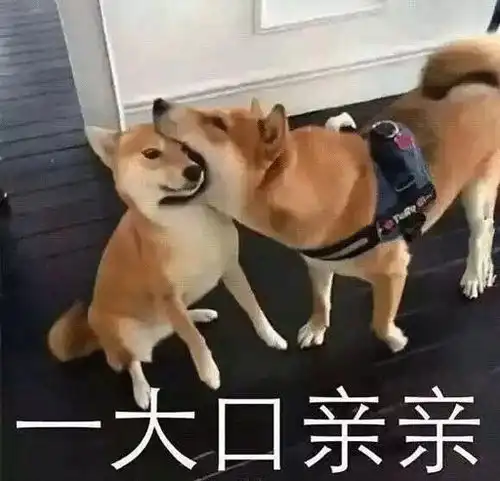 日本当地人精致生活的选择精选三家杂货店含战利品分享
