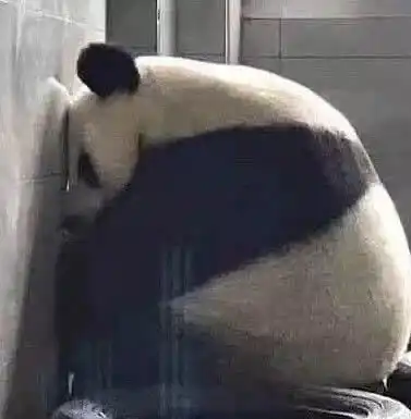你如何看待qq的这次更新

