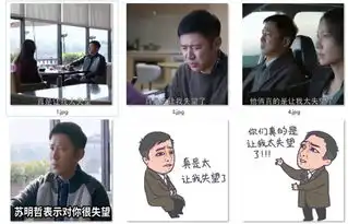 苏明哲太让我失望了表情包下载都挺好苏明哲失望表情包无水印版软件下载
