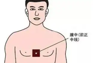 人体5大黄金穴再不揉起就老了
