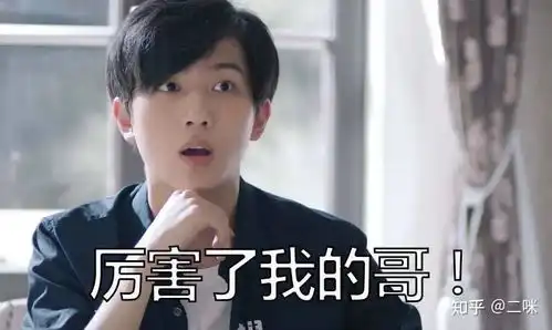 小棕瓶小黑瓶哪一款更好
