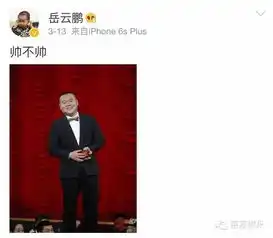 攻占表情包,承包金句,小岳岳的人生就是个段子
