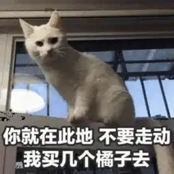 手机上千奇百怪的表情包,都是哪来的看完笑出腹肌
