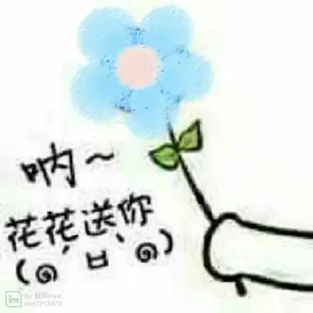 送你一朵小花花表情包合集
