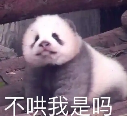 有这种熊猫的表情包吗
