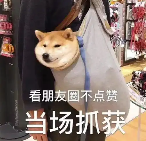 你朋友圈是一条直线,还是三天可见这朋友圈定律也太真实了
