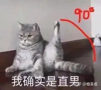 让你酣畅淋漓一口气读完的小说是哪部
