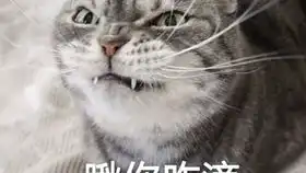 剑网三20180314明教绝望散排一气之下招募明歌毒组排气明毒龙门绝境