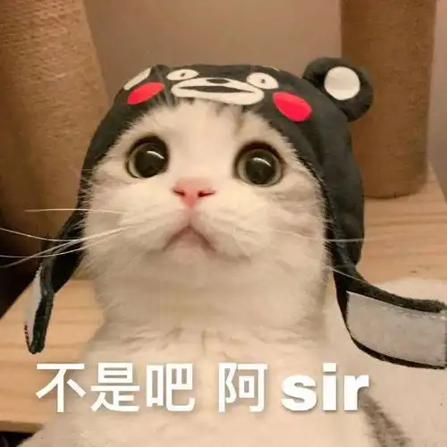 可爱表情包图片小白兔
