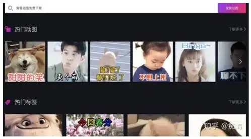 所有憨憨的杰尼龟表情包都在这了共1w张
