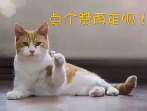 谁还买菜啊,空油桶剪2刀,蔬菜多到吃不完
