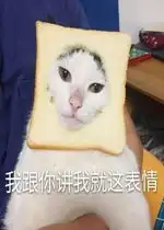 朕的江山要亡了表情包我跟你讲我就这表情猫咪表情包下载乐游网游戏下载
