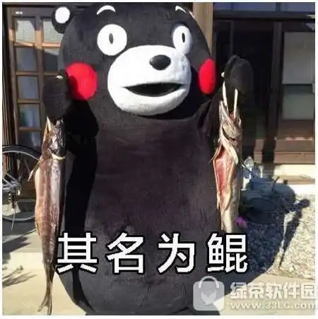 北冥有鱼,其名为鲲,鲲之大,一锅炖不下,化而为鸟是什么梗
