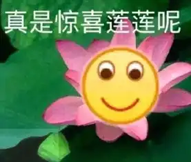 是时候宣布了,还有12天本人谨定于2019年11月11日农历2019年十月十五日...
