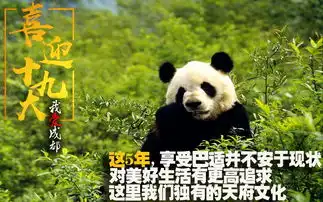 喜迎十九大熊猫滚滚述说成都这5年的变化