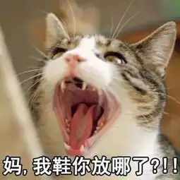 最近很火的表情妈
