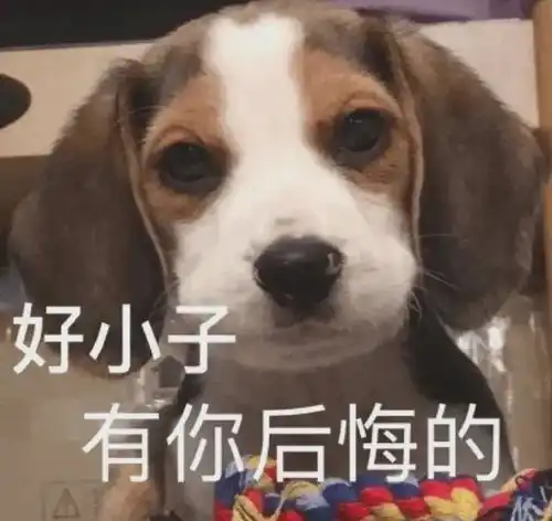 大宝贝为离婚做准备已婚女演员和大头男星偷情...