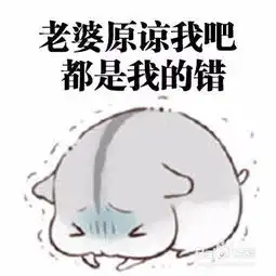 老婆生气了怎么办
