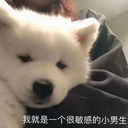 今日份表情包你很鸡车哎
