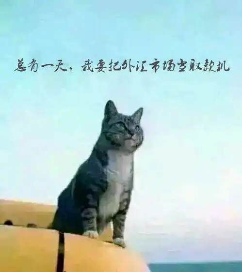 交易员的变强之路频繁盯盘篇,并献上解决沉迷盯盘的十点方法
