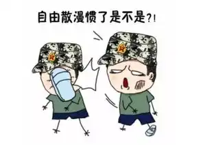 兵哥哥表情包
