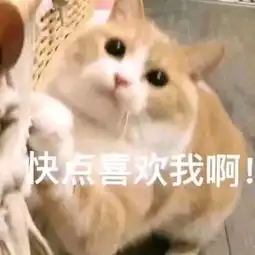 表情sir快点喜欢我啊