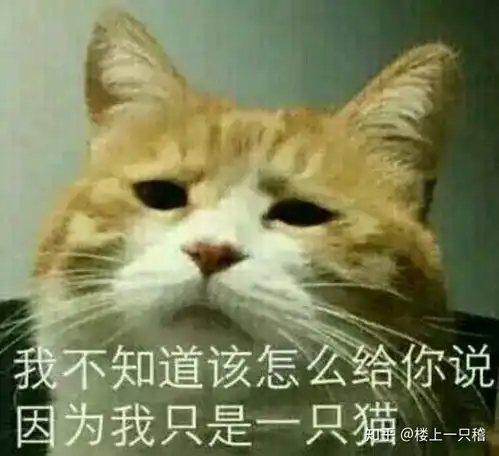 请问如图表情包有没有可爱一点的替代
