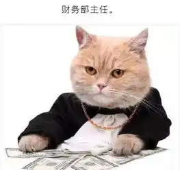 领导的表情包使用方法单位各部门领导职场塑料表情包大全
