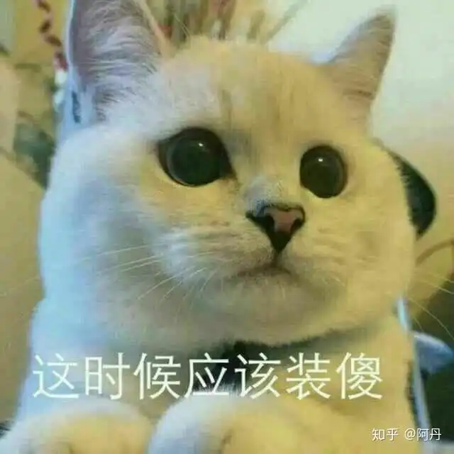 美妆电商app的社群如何做活动
