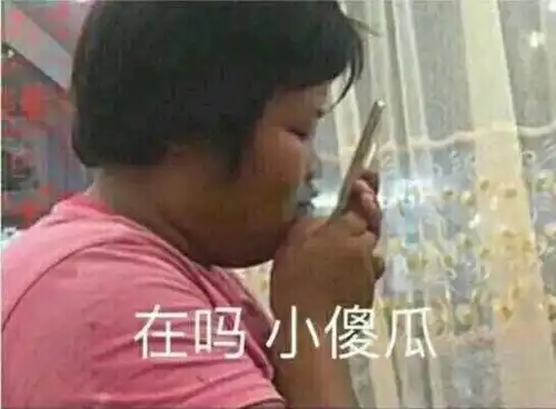 冬天的时候蚊子都去哪儿了
