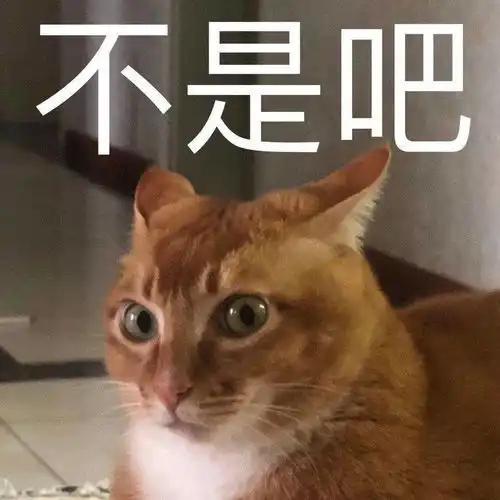 沙雕表情你是猪,我不要理你
