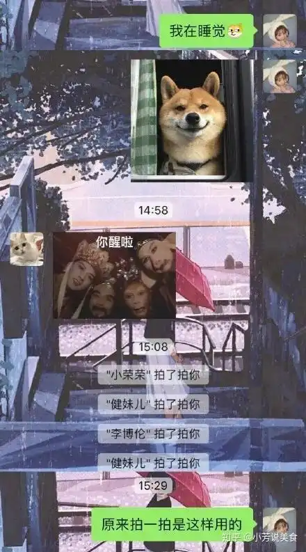 微信新功能拍一拍有什么好玩的梗吗
