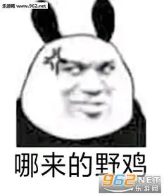 爸爸这就来表情包我带你上分表情包图片下载乐游网游戏下载
