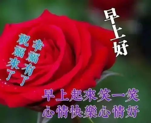 早上好朋友,早上好温馨漂亮图片祝福语录,早晨好唯美动画表情问候语录
