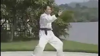 虎鹤双形