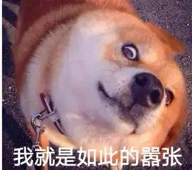 日本的柴犬和秋田犬的区别
